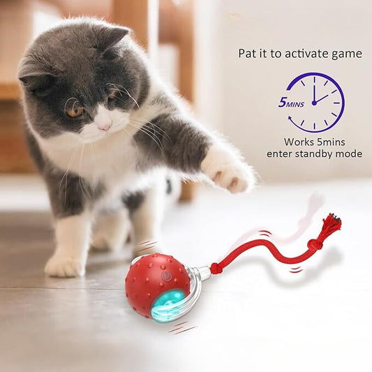 ChaseBuddy™: Interactive Pet Playmate