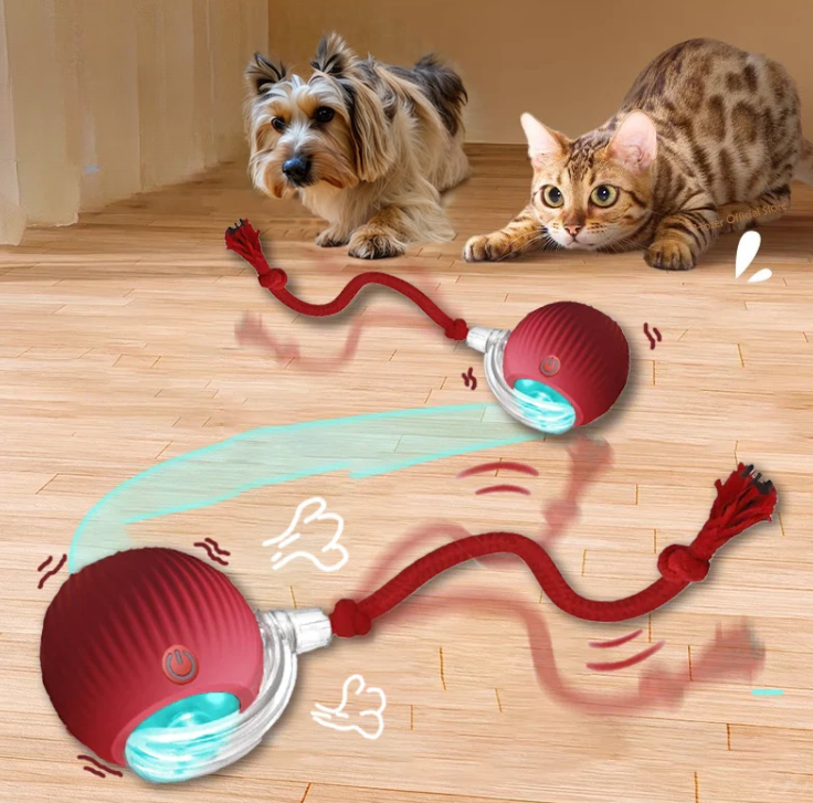 ChaseBuddy™: Interactive Pet Playmate