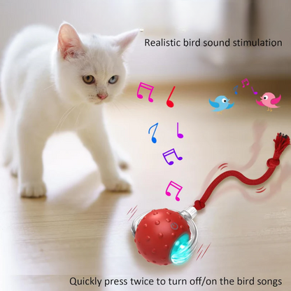 ChaseBuddy™: Interactive Pet Playmate